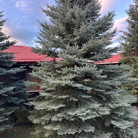 родопска къща Holiday home *